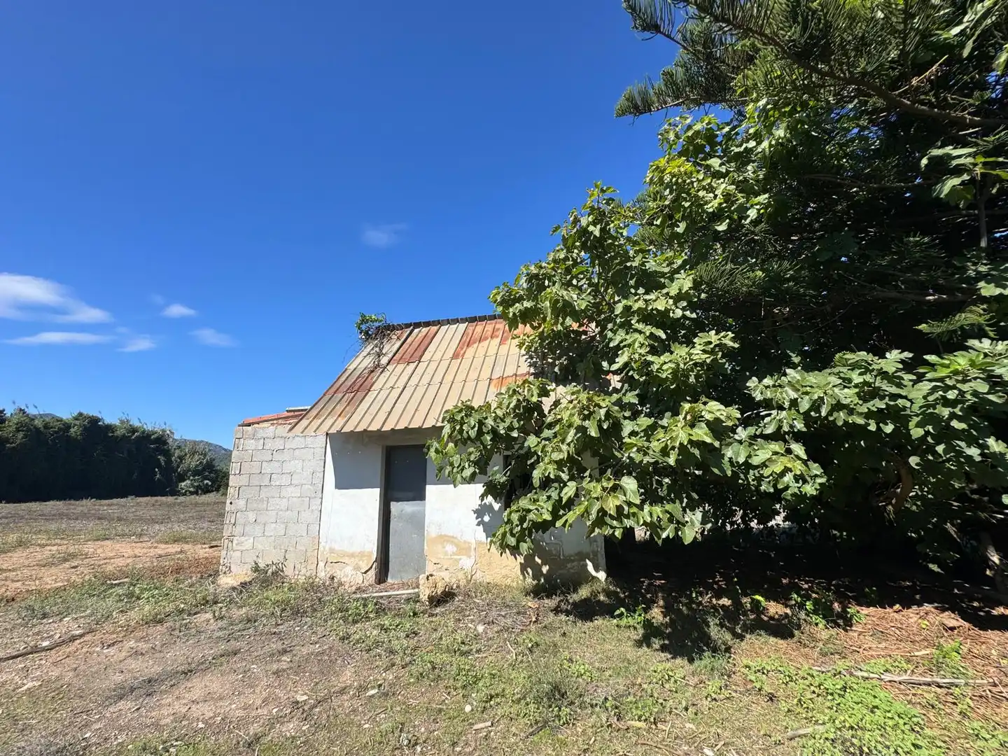 Casa rustica in vendita a CV-605, imagen 42