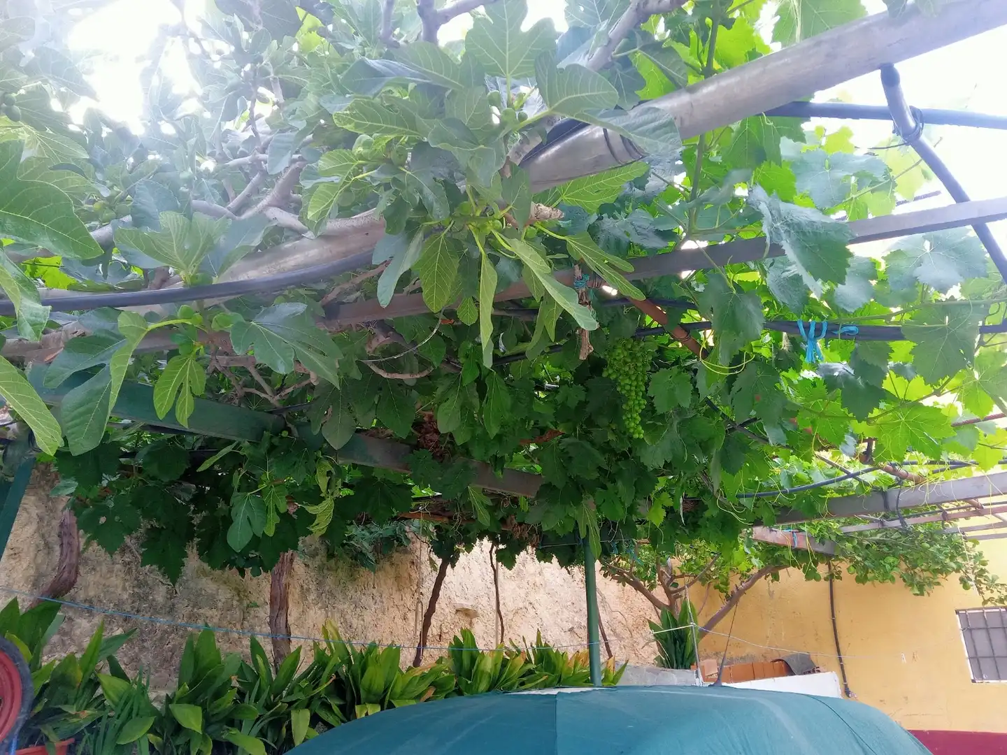 Detached house with pool for sale in Carretera Puente de la Sierra, imagen 6
