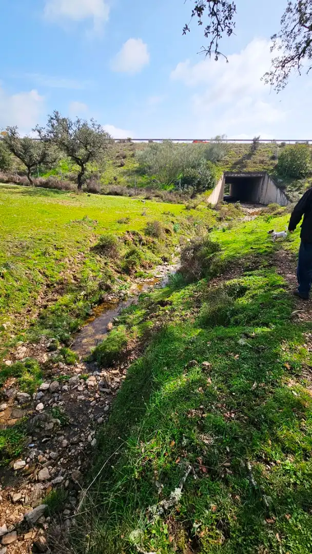 Terreni e lotti in vendita a Santa Olalla del Cala, imagen 22