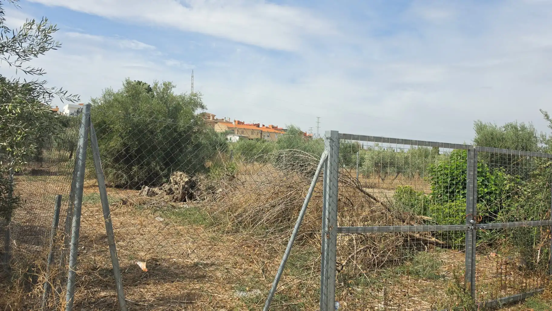 Terreno rústico en venta en Híjar, imagen 3