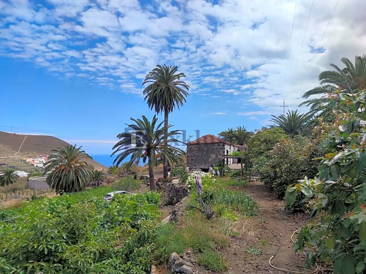 Country homes for sale in Buenavista del Norte