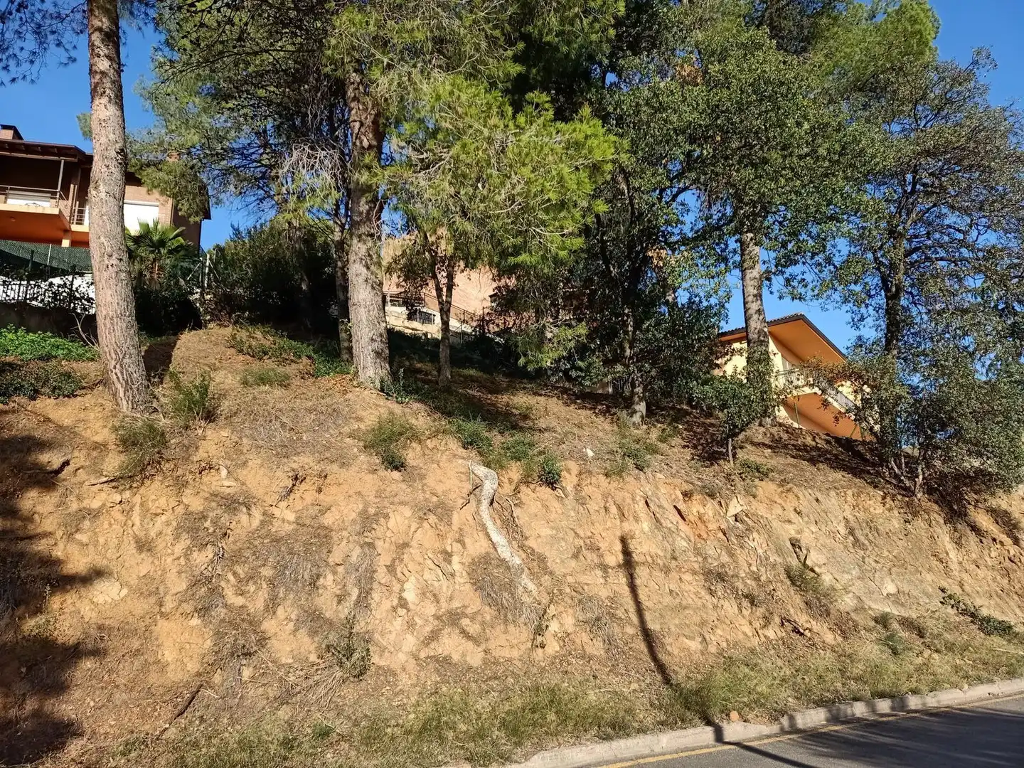 Terrenos y solares en venta en Francesc Serrado 20, imagen 6