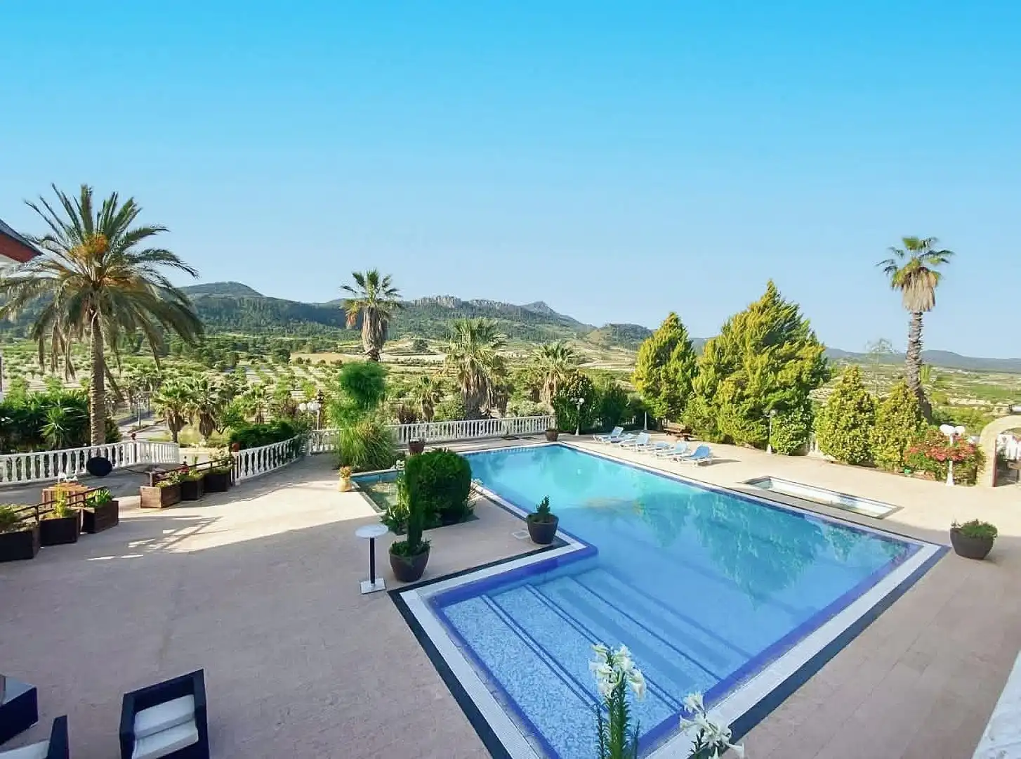 Swimming pool of Country homes for sale in Jumilla