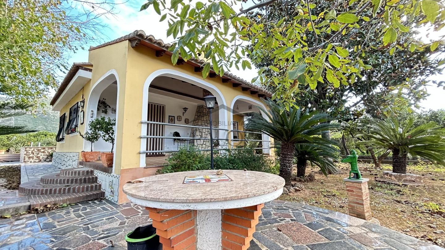 Vista exterior de Finca rústica en venta en Alzira con Jardín privado, Terraza y Piscina