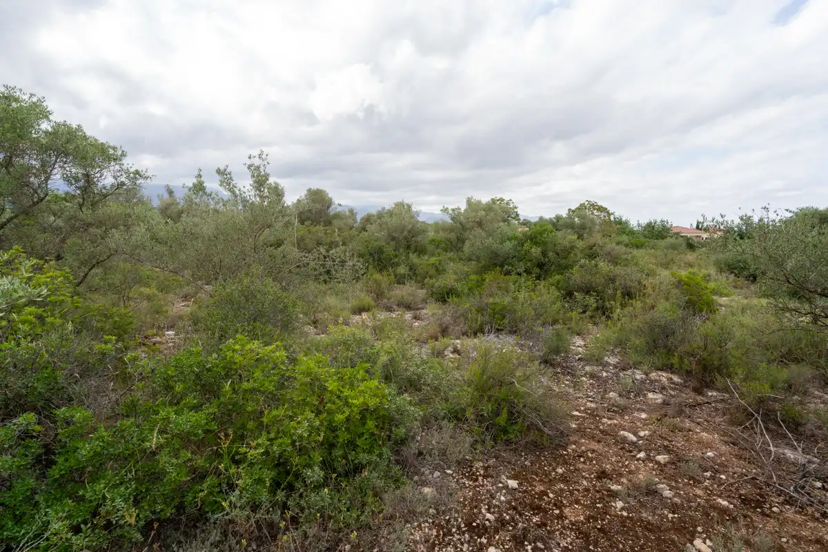 Rural land for sale in Vinallop, imagen 5
