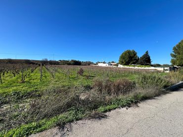 Terreno residencial en venta en Centro