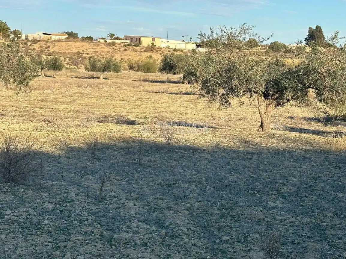 Terrenys i solars en venda a Calle Algarraz, imagen 8