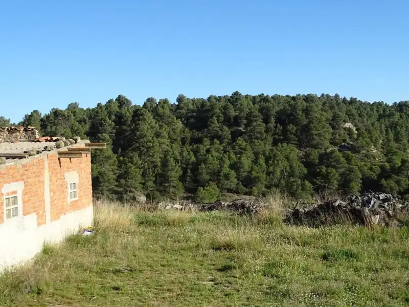 Terreno en venta en Valjunquera