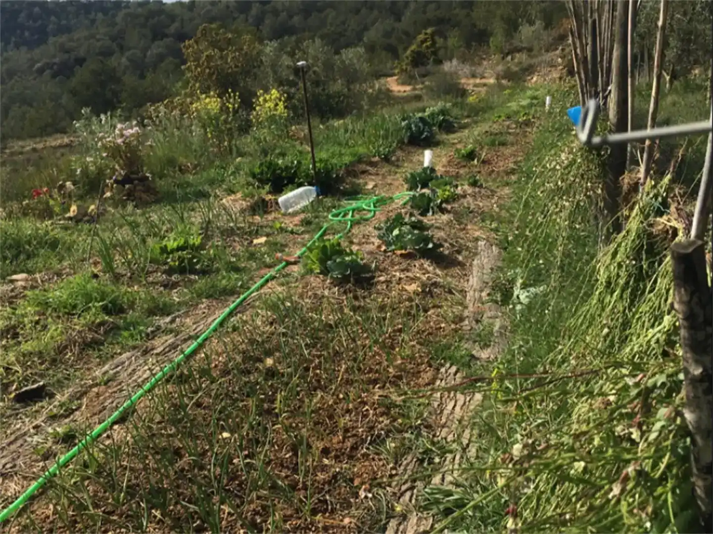 Finca rústica en venda en Salomó