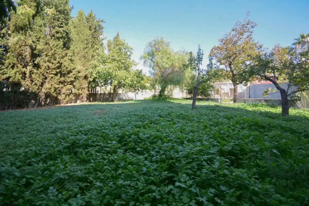 Terrenos y solares en venta en Calle CANALEJAS, imagen 3