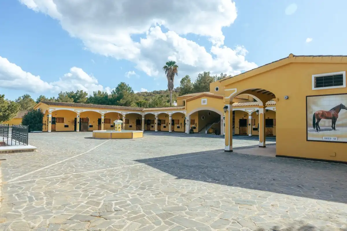 Casa con terraza en venta en Carrer d'en Toni des Pou, imagen 5