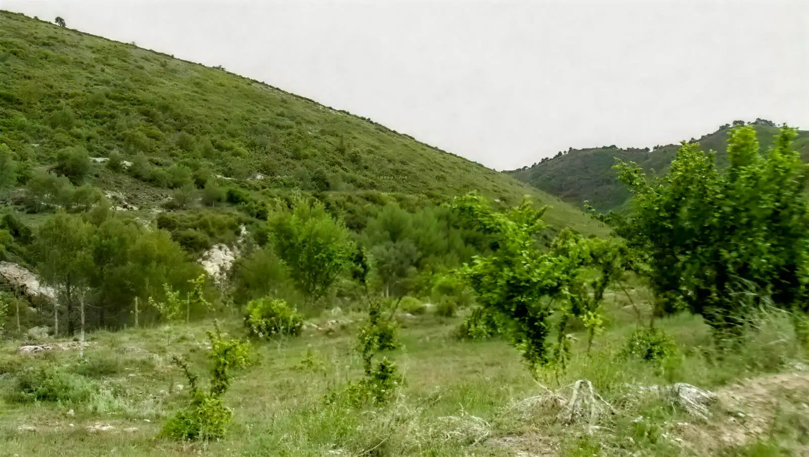 Rustikales Grundstück zum Verkauf in Camino Partida Foyetes, imagen 3