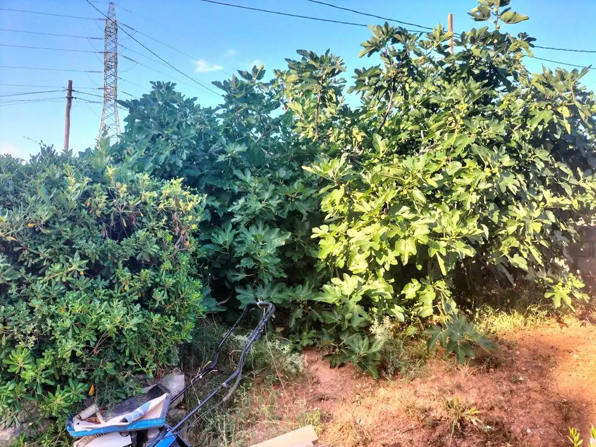 Terrenos y solares en venta en Castellbisbal, imagen 10