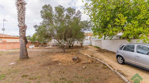 Foto 3 de Finca rústica en venta en Los Franceses – La Vega, Cádiz