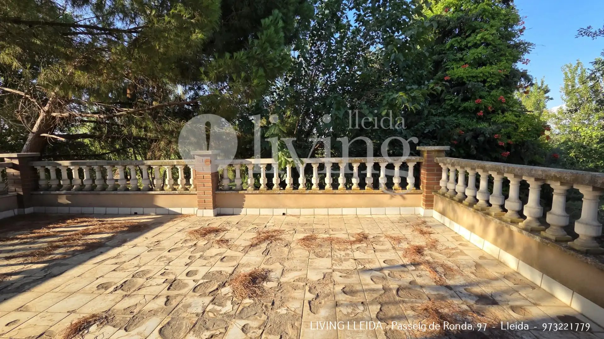 Casa con piscina en venta en Partida Terme de Grealo, imagen 8