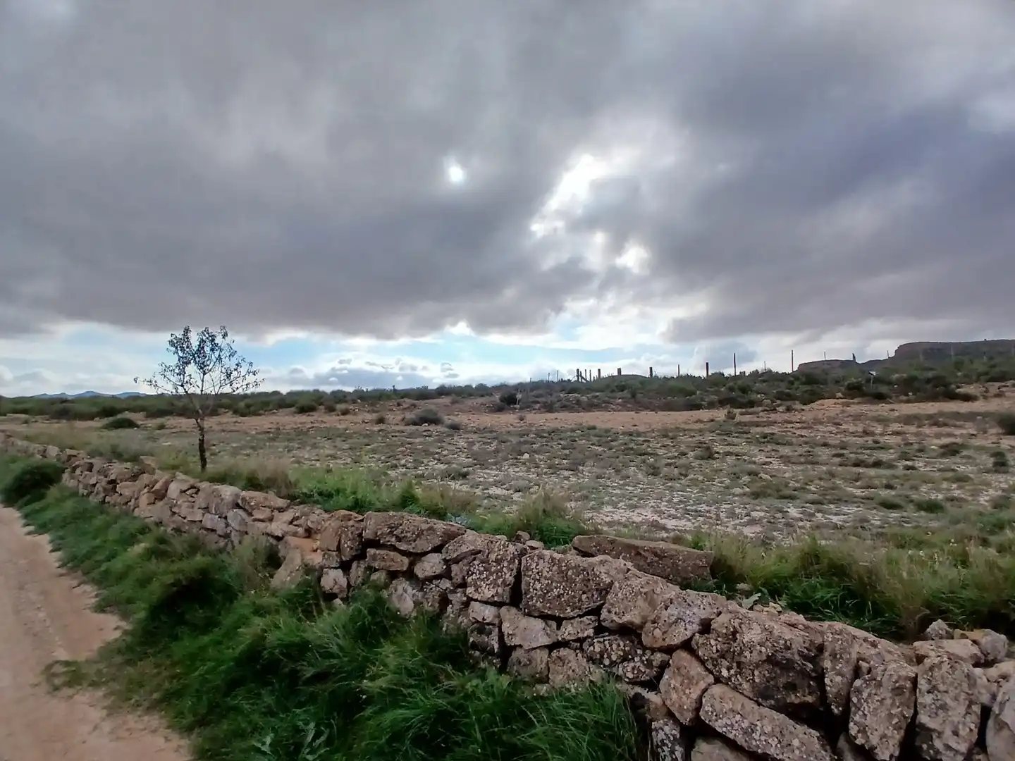 Residential land for sale in Yecla, imagen 12