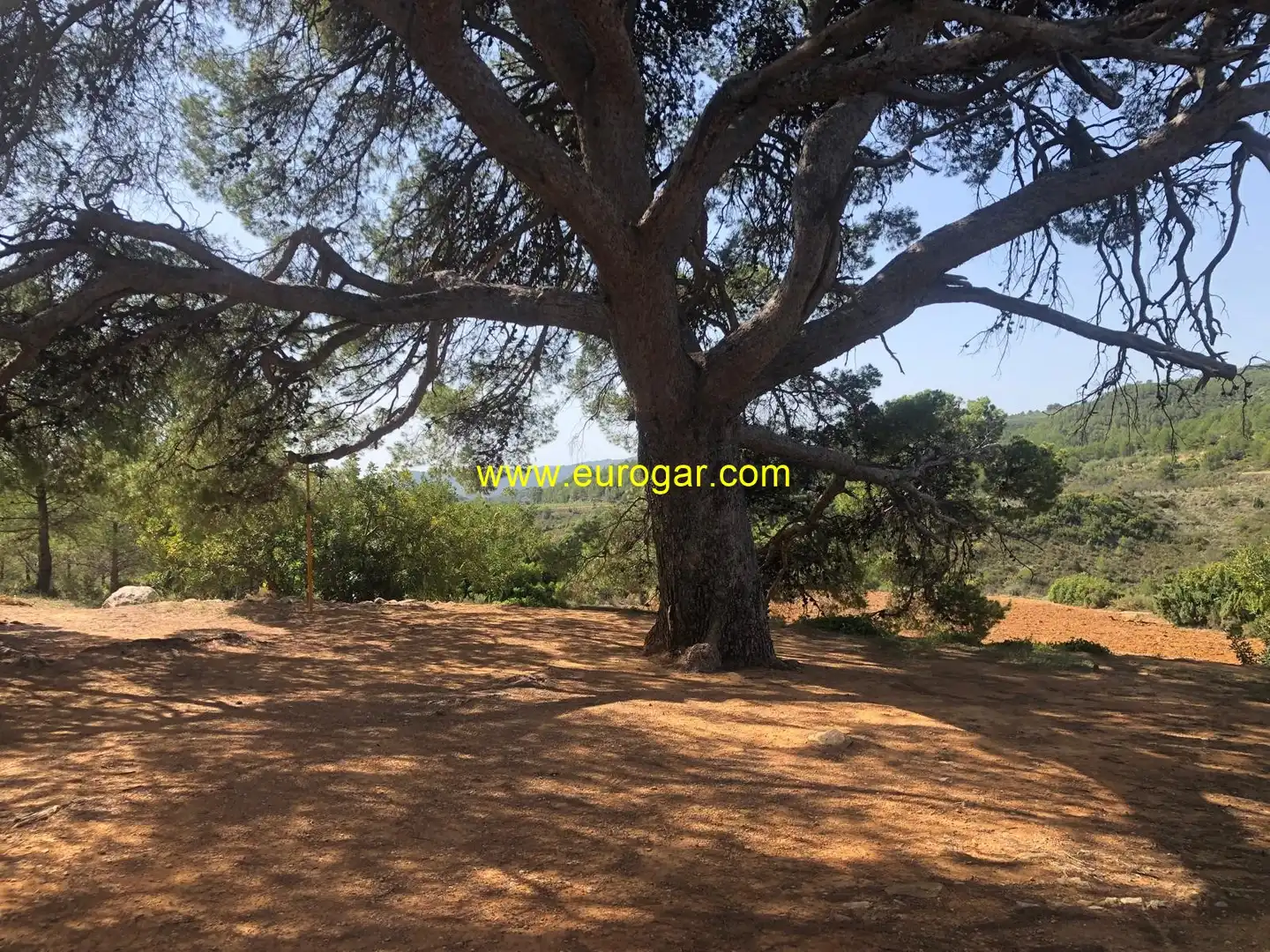 Country homes for sale in Chiva