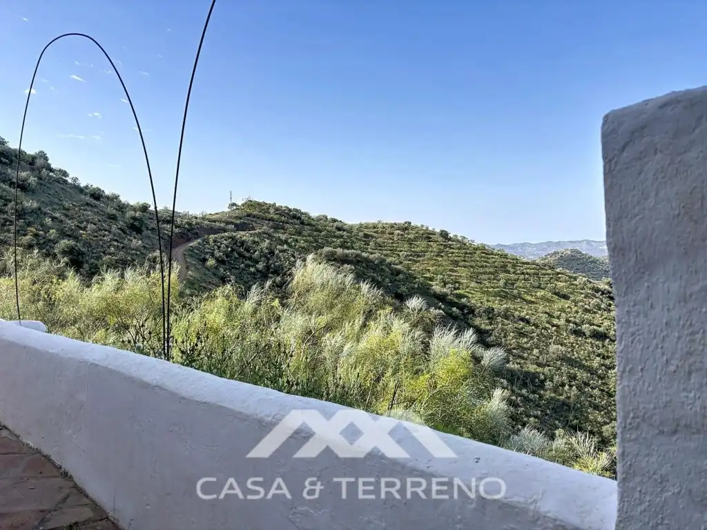 Vista exterior de Casa o xalet en venda en Canillas de Aceituno amb Jardí privat, Terrassa i Piscina
