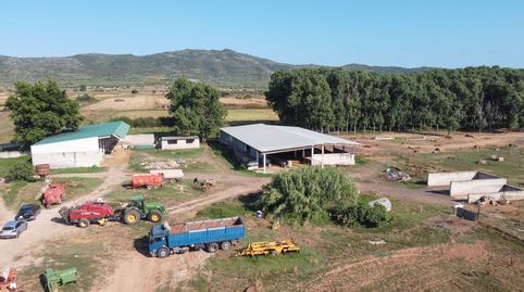 Finca de regadío con dos viviendas, ideal para la cría de ovejas, immagine 4
