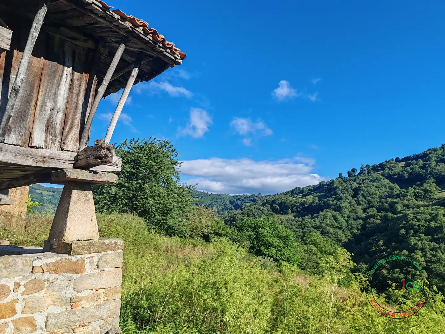Vista exterior de Casa o xalet en venda en Bimenes amb Jardí privat