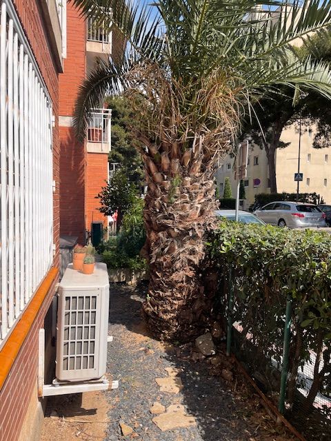 Exterior view of Flat to rent in Montgat  with Air Conditioner, Heating and Furnished