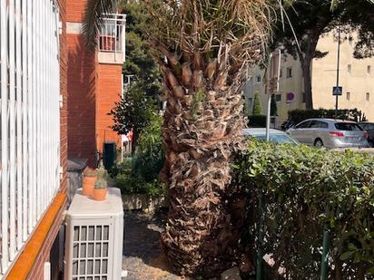 Exterior view of Flat to rent in Montgat  with Air Conditioner, Heating and Furnished