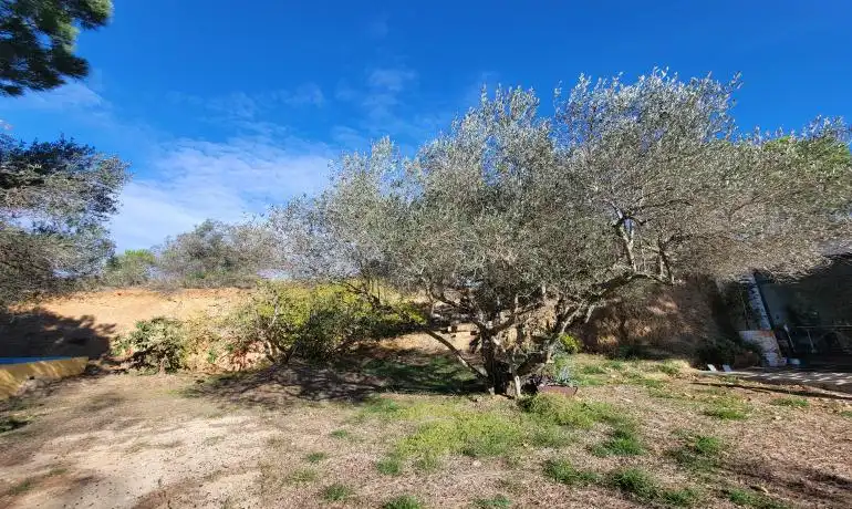 Lands and plots for sale in Garriguella, imagen 53
