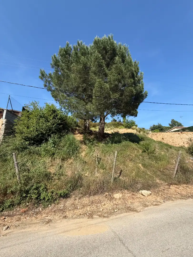 Wohnbaugrundstück zum Verkauf in Carrer d'Albertí 1120, imagen 11