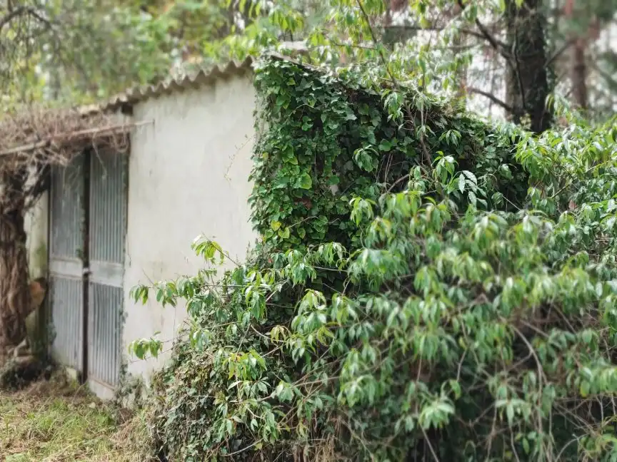 Vista exterior de Pis en venda en Aranga