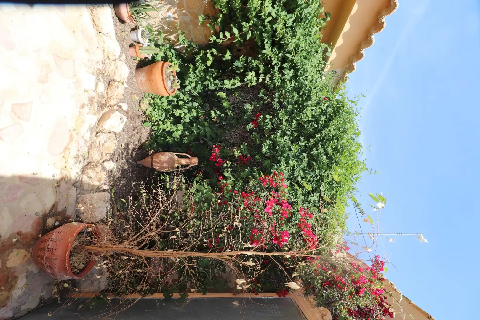 Casa rústica con jardín en venta en Hondón de las Nieves / El Fondó de les Neus, imagen 16