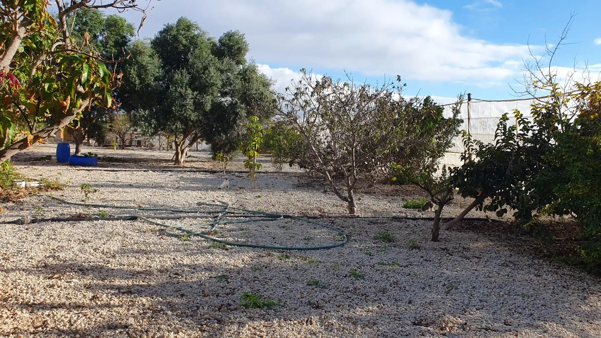 Terreno rustico in vendita a Arico, imagen 2