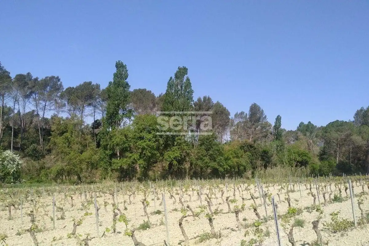 Rustikales Grundstück zum Verkauf in Sant Martí Sarroca, imagen 3