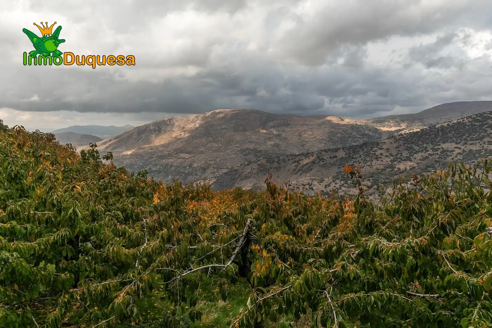 Casa rústica en venda a Güéjar Sierra, imagen 7
