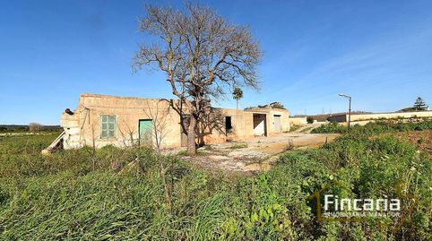 Foto 5 de Finca rústica en venda a Ma-3321, Manacor Centre, Manacor