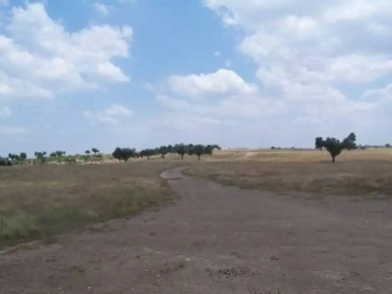 Terreni e lotti in vendita a Alcántara, imagen 18