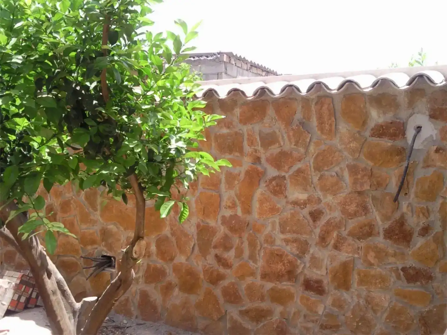 Jardí de Casa adosada en venda en Lorca