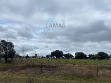 Terreno rústico en venta en Carretera Jarandilla
