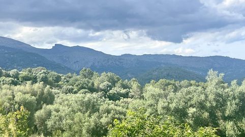 Solares en Campanet