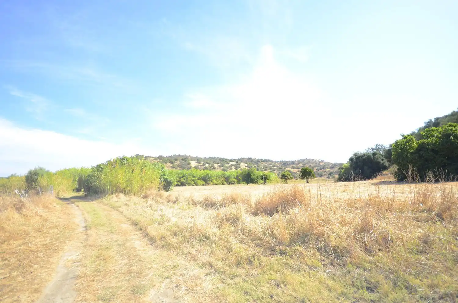 Finca rústica en venda en Ayamonte amb Terrassa i Traster
