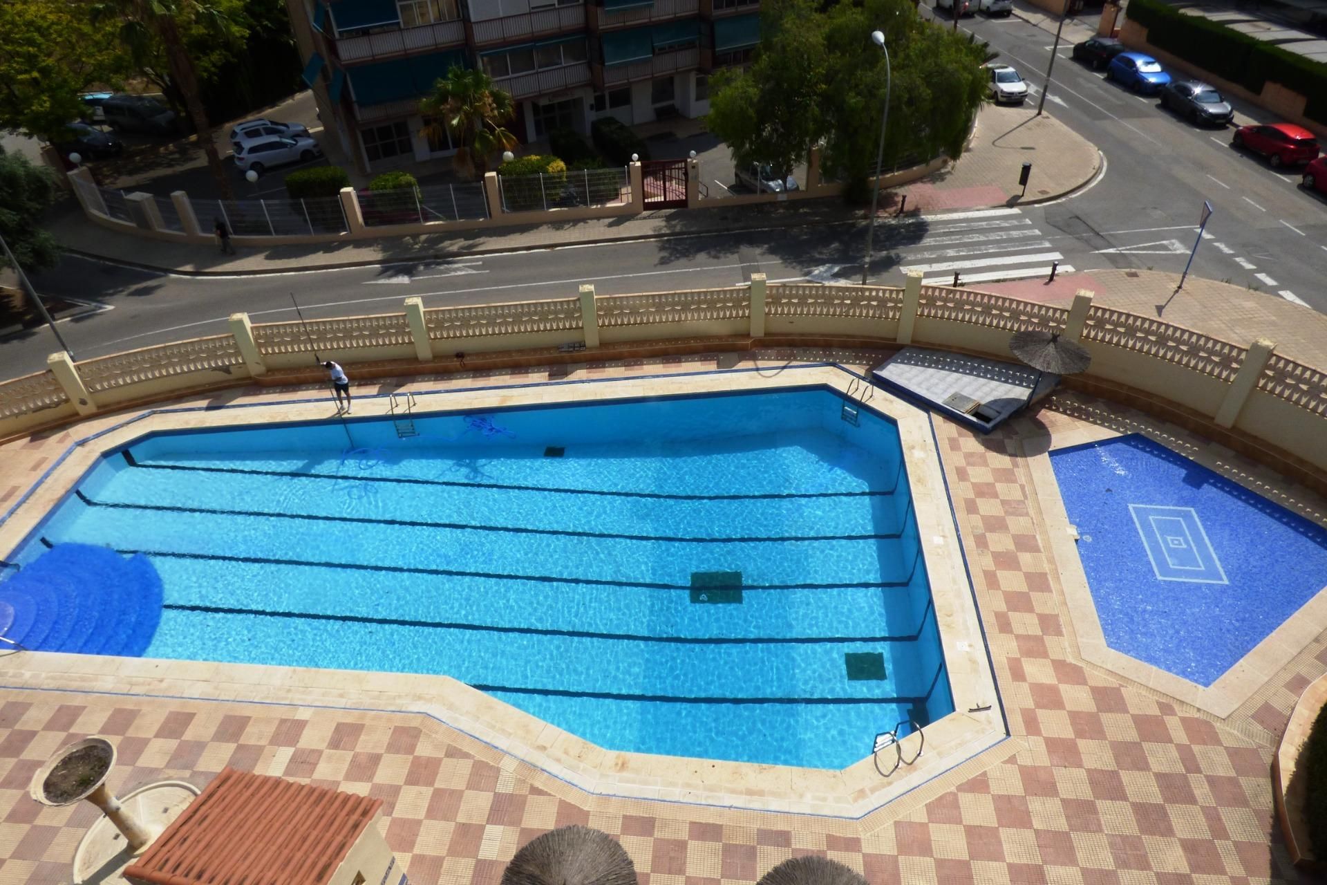 Swimming pool of Study for sale in Alicante / Alacant  with Air Conditioner, Heating and Private garden