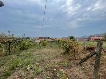 Terreni e lotti in vendita a Mos