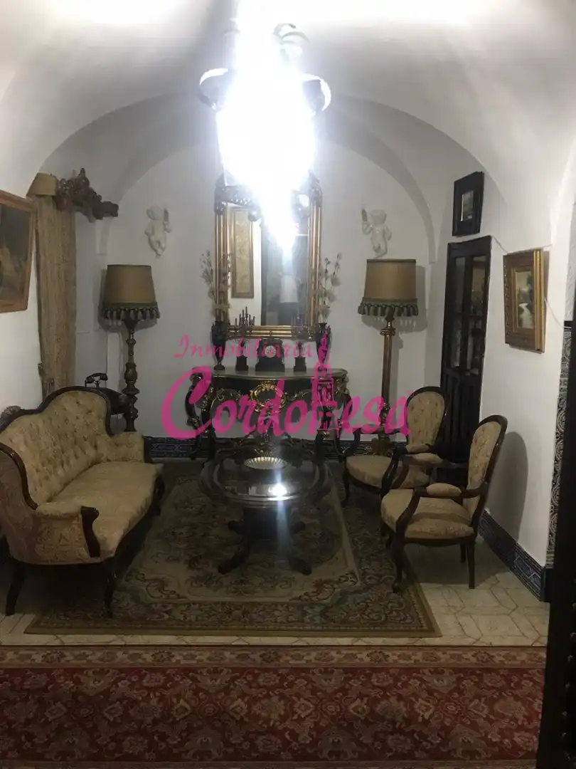 Sala de estar de Casa o chalet en venta en Villaviciosa de Córdoba con Terraza