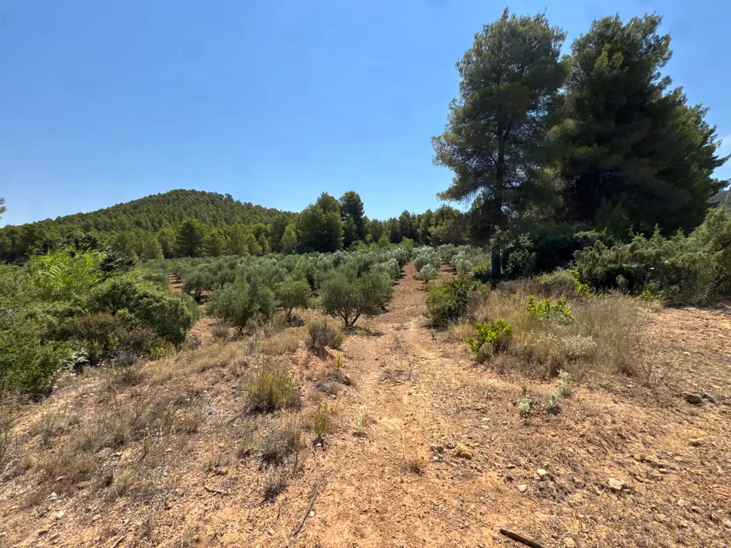 Rural land for sale in N/A, imagen 42