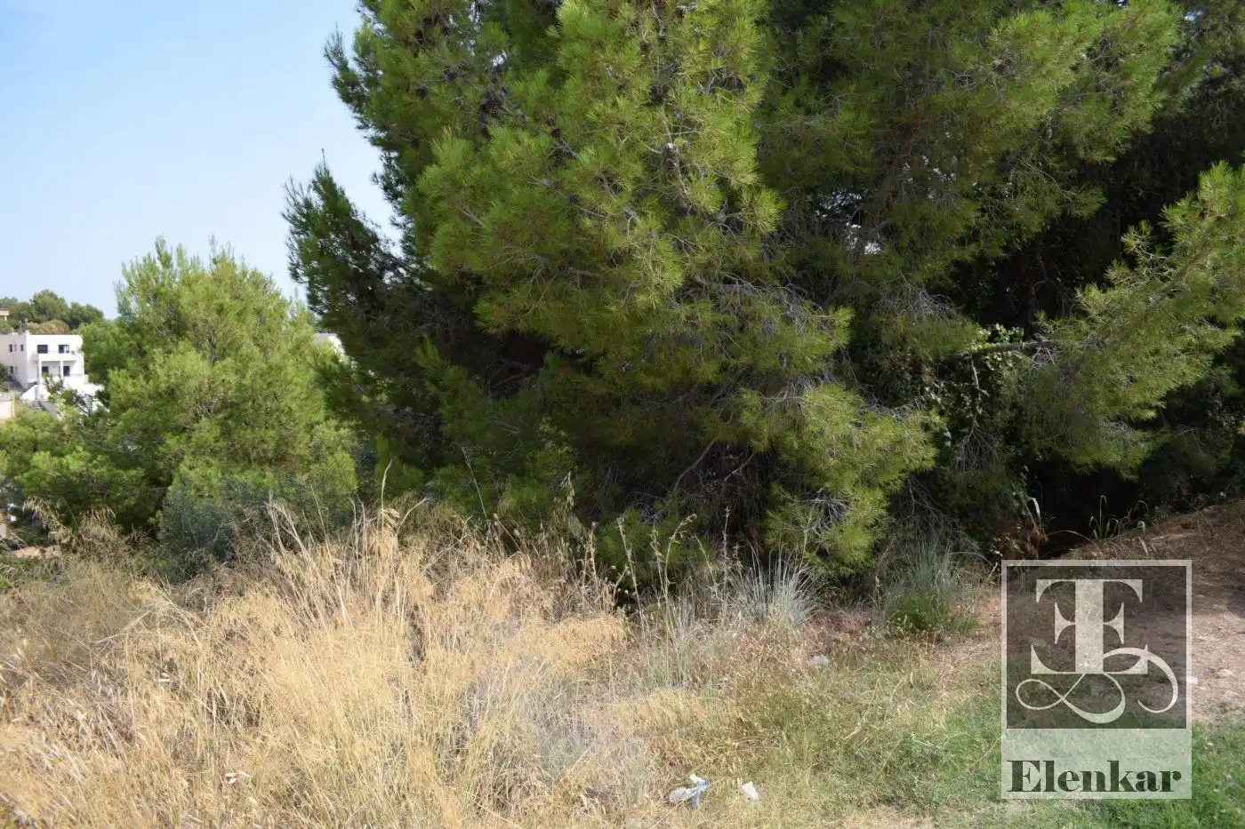 Rural land for sale in marca hispánica, imagen 4