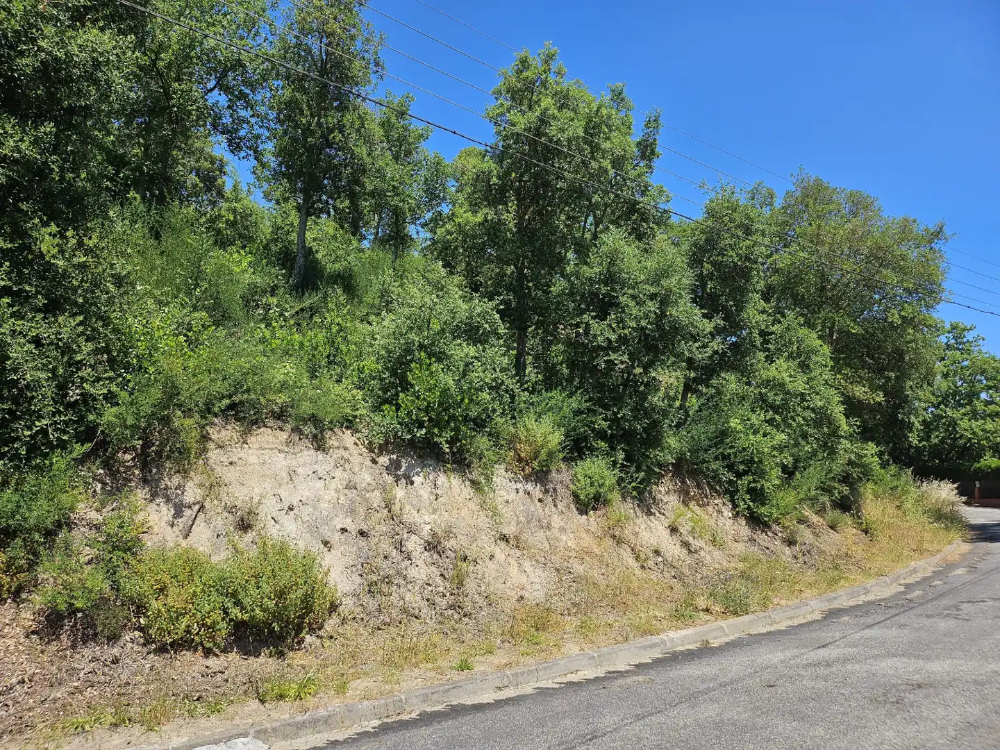 Terreno residencial en venta en Carrer Alzina Surera 54