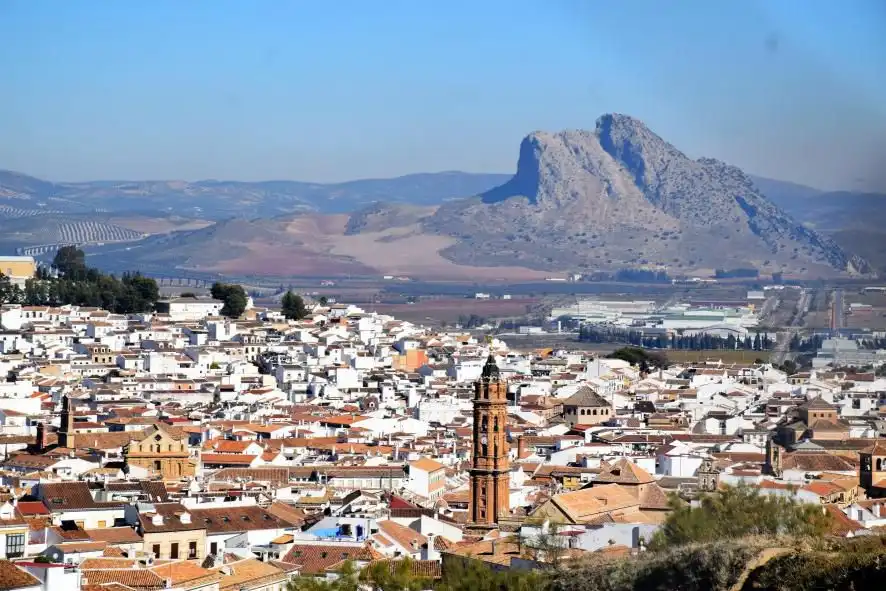 Lands and plots for sale in Bobadilla - Bobadilla Estación - La Joya, imagen 16