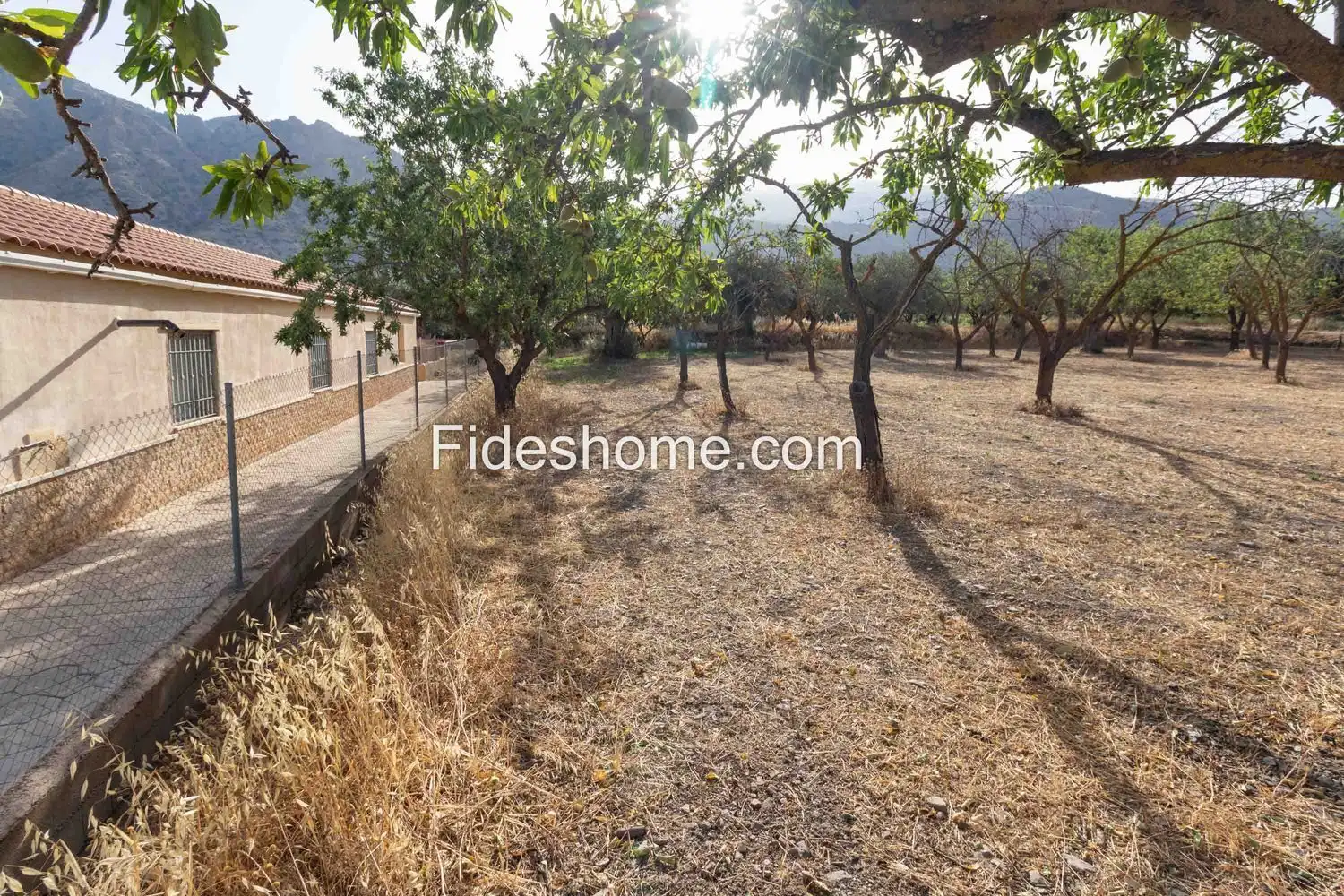 Rural land for sale in XFG2+MG9 Nigüelas 0, imagen 10