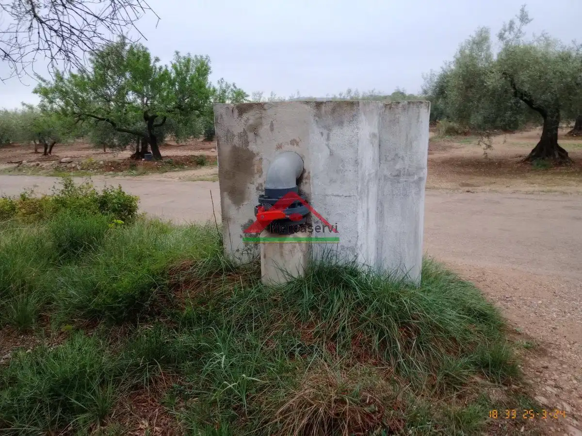 Finca rústica en venta en Vinaròs