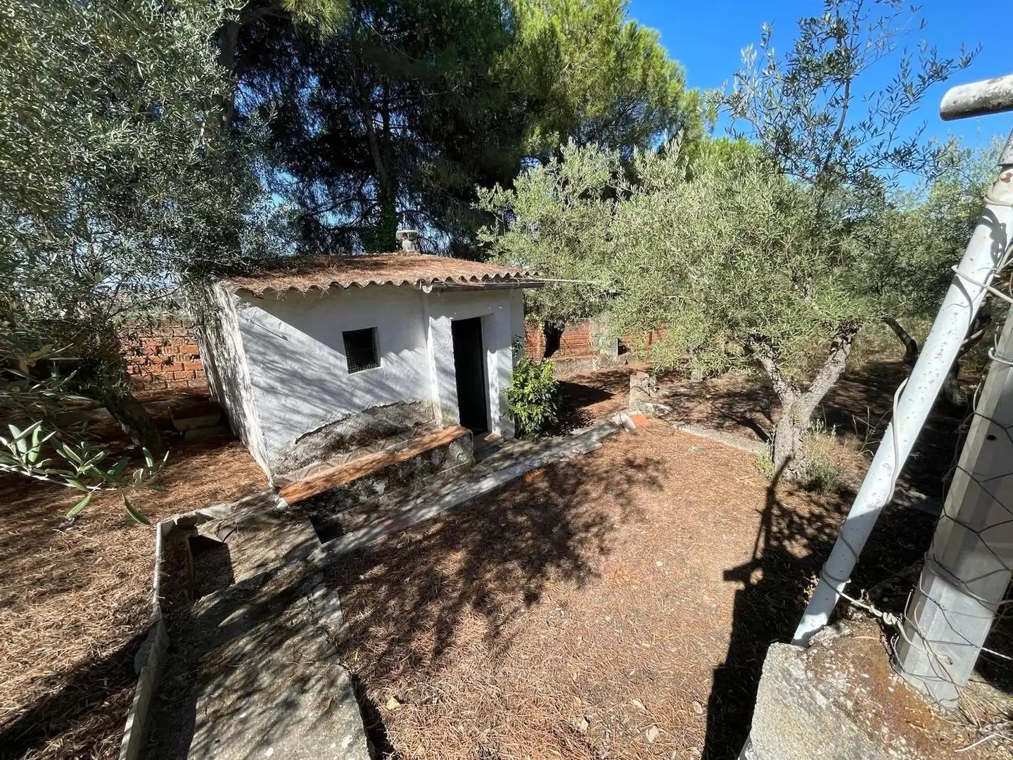 Jardín de Casa o chalet en venta en Cáceres con Terraza, Trastero y Piscina
