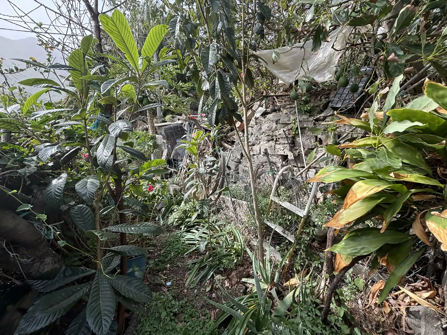 Casa o xalet en venda a Calle Lomo la Chanca, Anaga